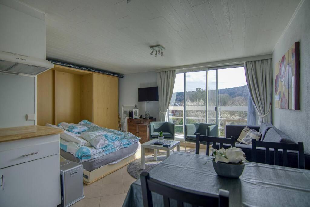Studio Au Domaine Le Vieux Moulin Apartman Han-sur-Lesse Kültér fotó